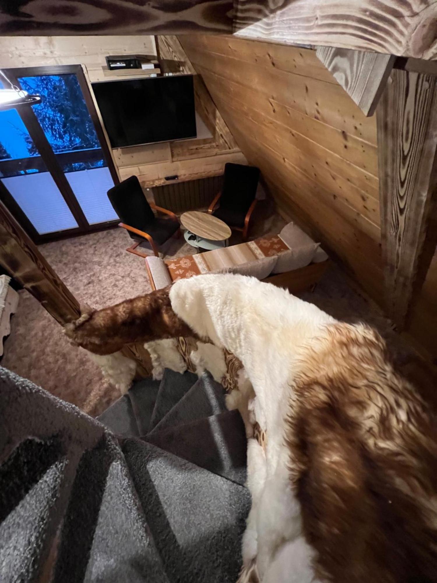 Apartamenty i Domki Taterka Koscielisko Bagian luar foto